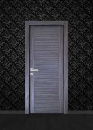 italian-designer-door-dark1